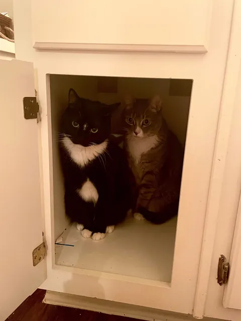 I never wanted to have to make this post. For my baby, Turkleton