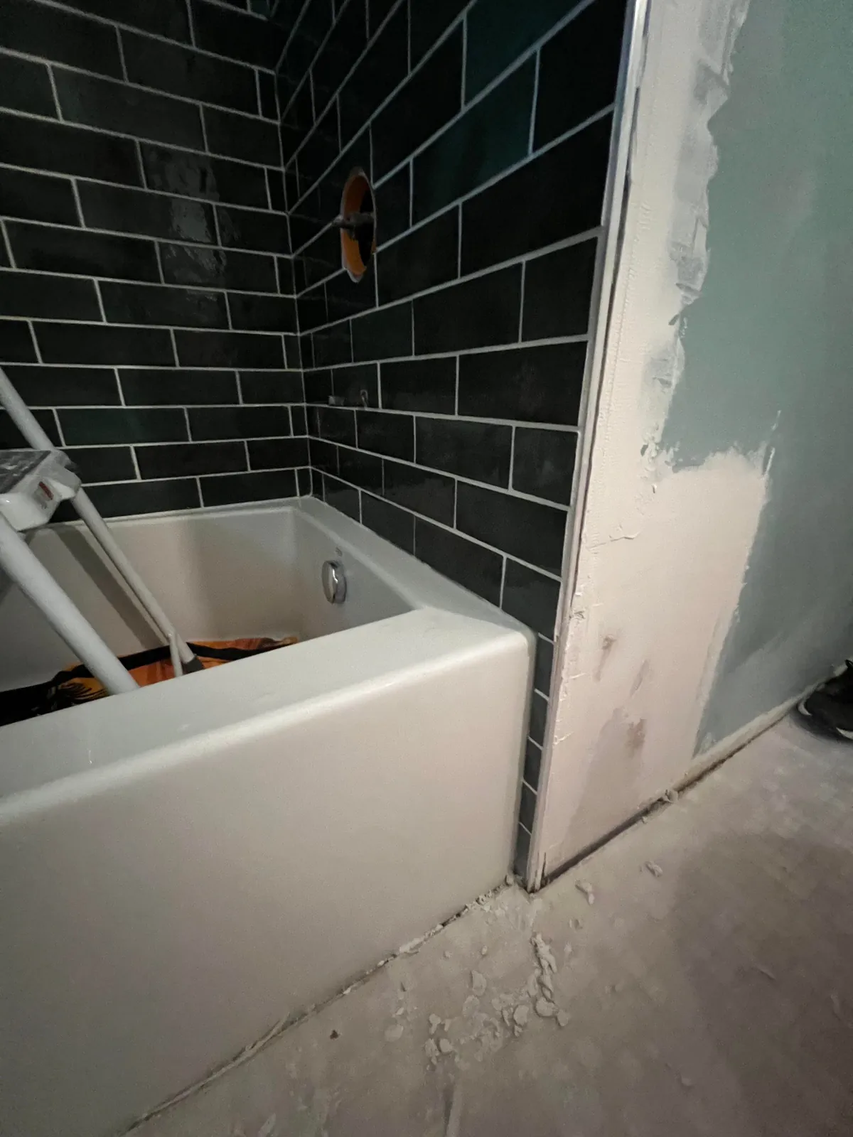 Remodeling the Only Bathroom in the House