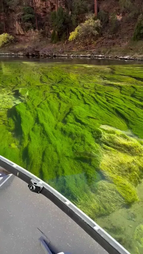 A crystal clear clean river