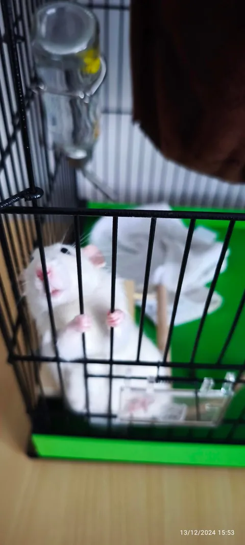 Don't be fool by how his face looks he is an ass 