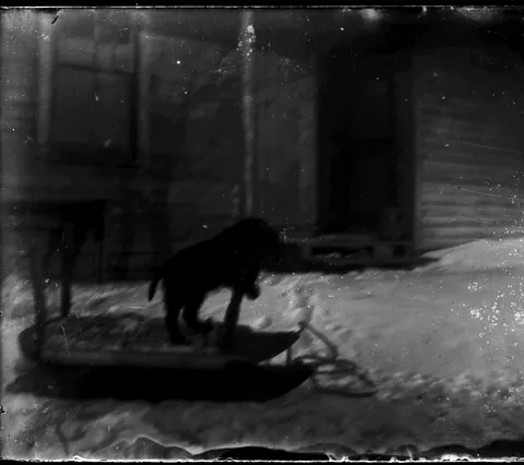 i have one final batch of dry plate negative scans to share