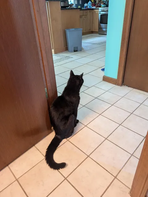 My 18 year old, needy senior.