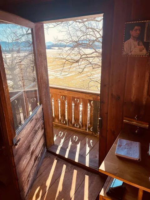morning sun hitting my wood-paneled home office
