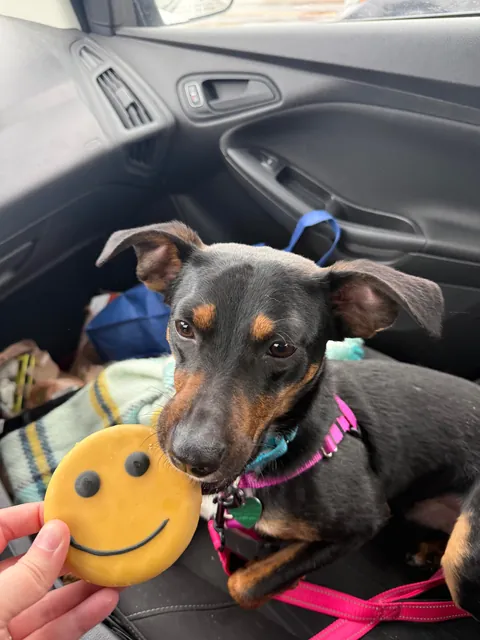 Took little Messiah for a field trip away from the shelter today