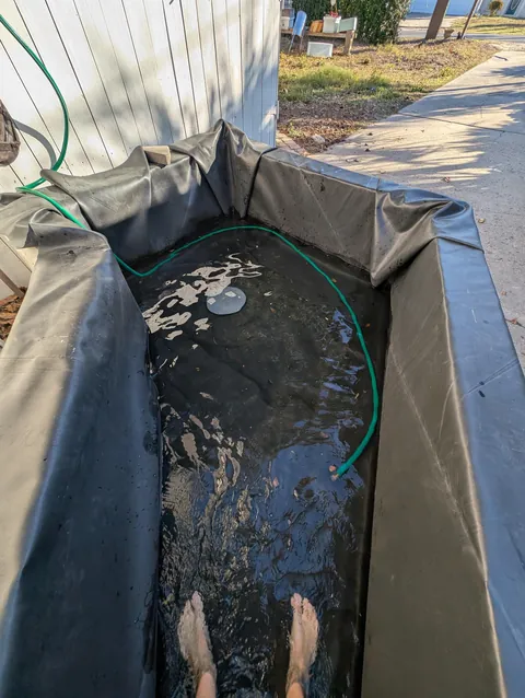 "I should make a bigger place for the Koi..." 