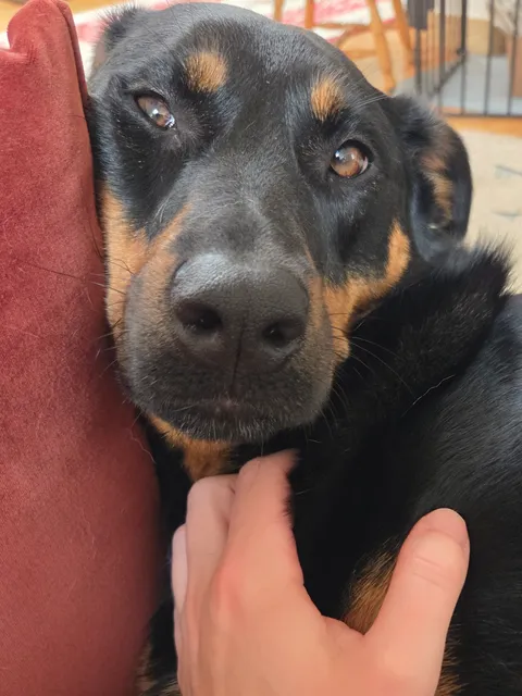 My little squishy face girl