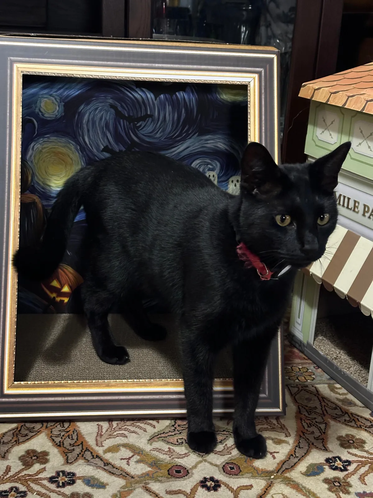 Live art installation