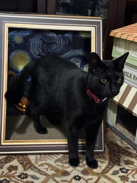 Live art installation