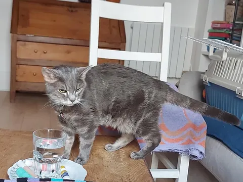 Today, Shana is 18 year old