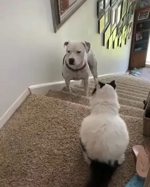 Sometimes you’ve just got to be brave and face your fears