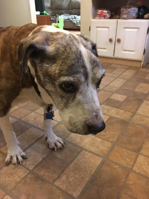 Today is my 18th birthday everyone.