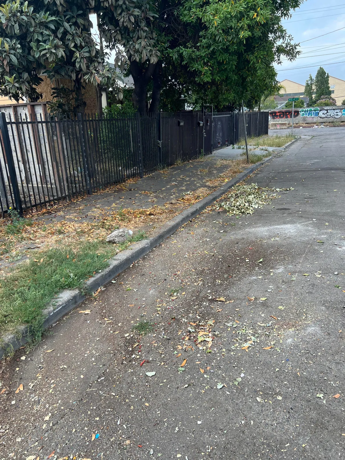 As a sole volunteer, I work in my free time to help remove illegal dumping across the San Francisco Bay Area