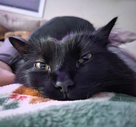 Just want to share this picture my wife took of our boy.