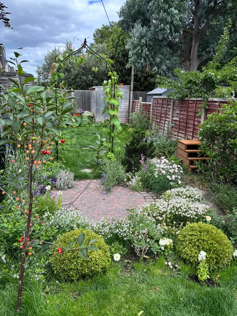 Garden before and after