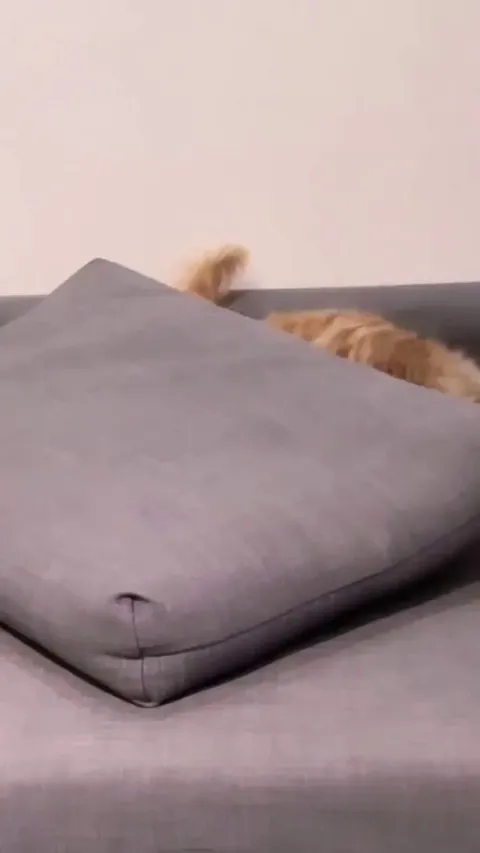 Static electricity boi