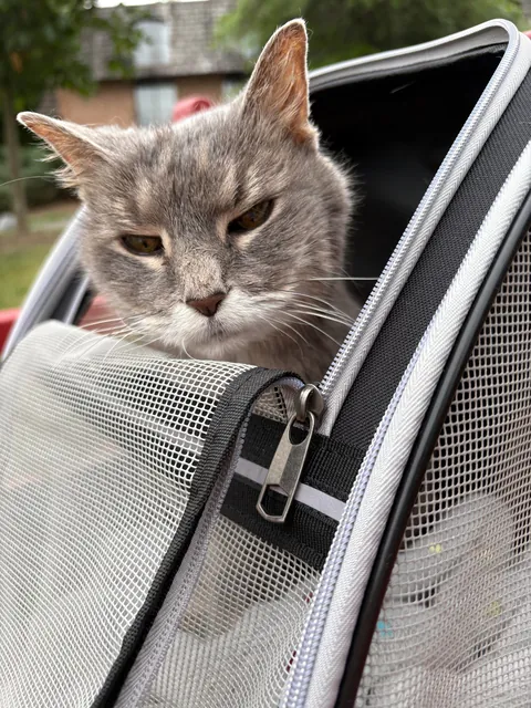 Miss Coral…she just turned 23!