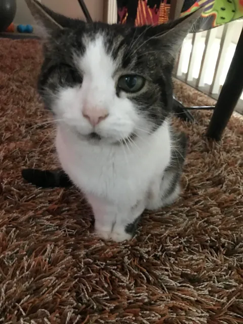 She held on for her 20th Christmas before letting go