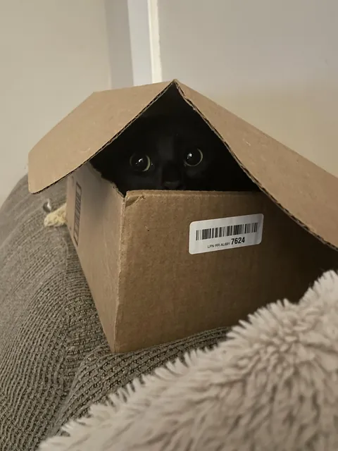 Help! I'm stuck in a black hole