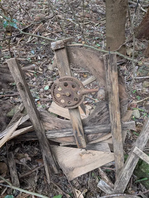 I found a camcorder in the woods of Japan