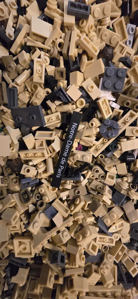 Wife got me the Notre-Dame set as a gift, my son decided to open every single bag at once...