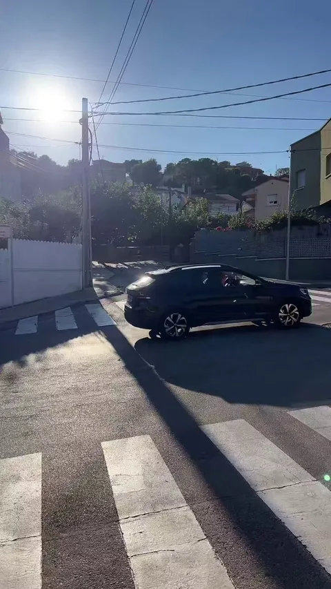 Imagine strolling by and catching this sunny flash moment 