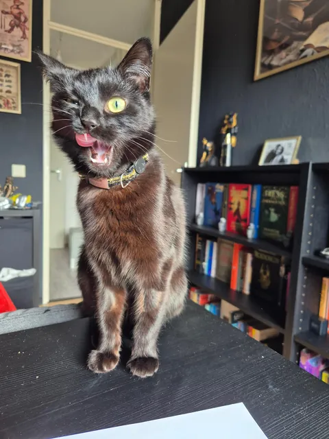 My void is 1! 🥳🥳