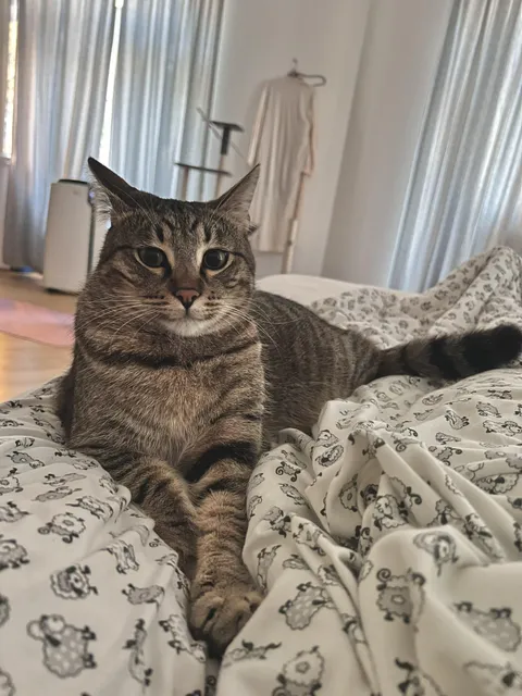 The ‘why are you in my bed’ face