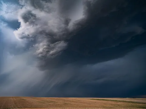 ITAP of rain curtains sweeping across a field beneath a looming storm.