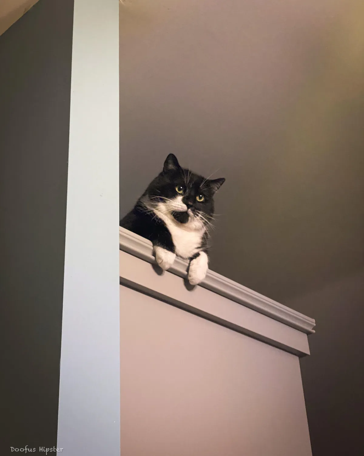 Your Actions Have Been Noted, Peasant.