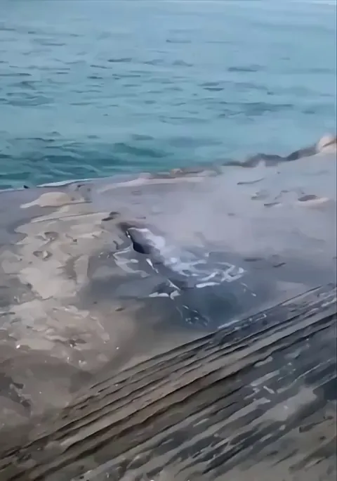 A marine blowhole, or geyser, forms when sea caves extend inland and upward into vertical shafts that open at the surface