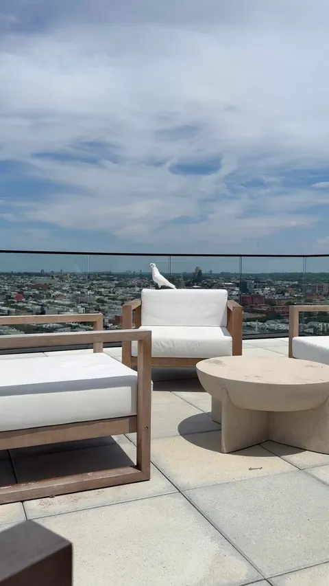 (OC) Grandma died 3 years ago today on June 29th, 2022 at 1:55pm. This beautiful pigeon shows up on the same date at the exact same time.