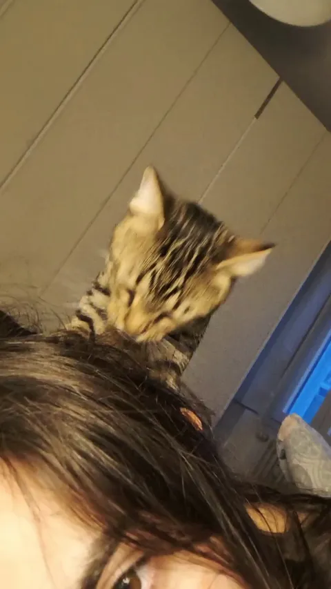 Guys, I'm not sure my new hairdresser knows what he's doing