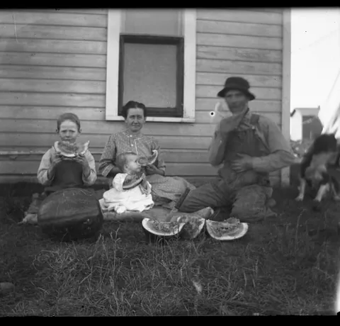 i have one final batch of dry plate negative scans to share