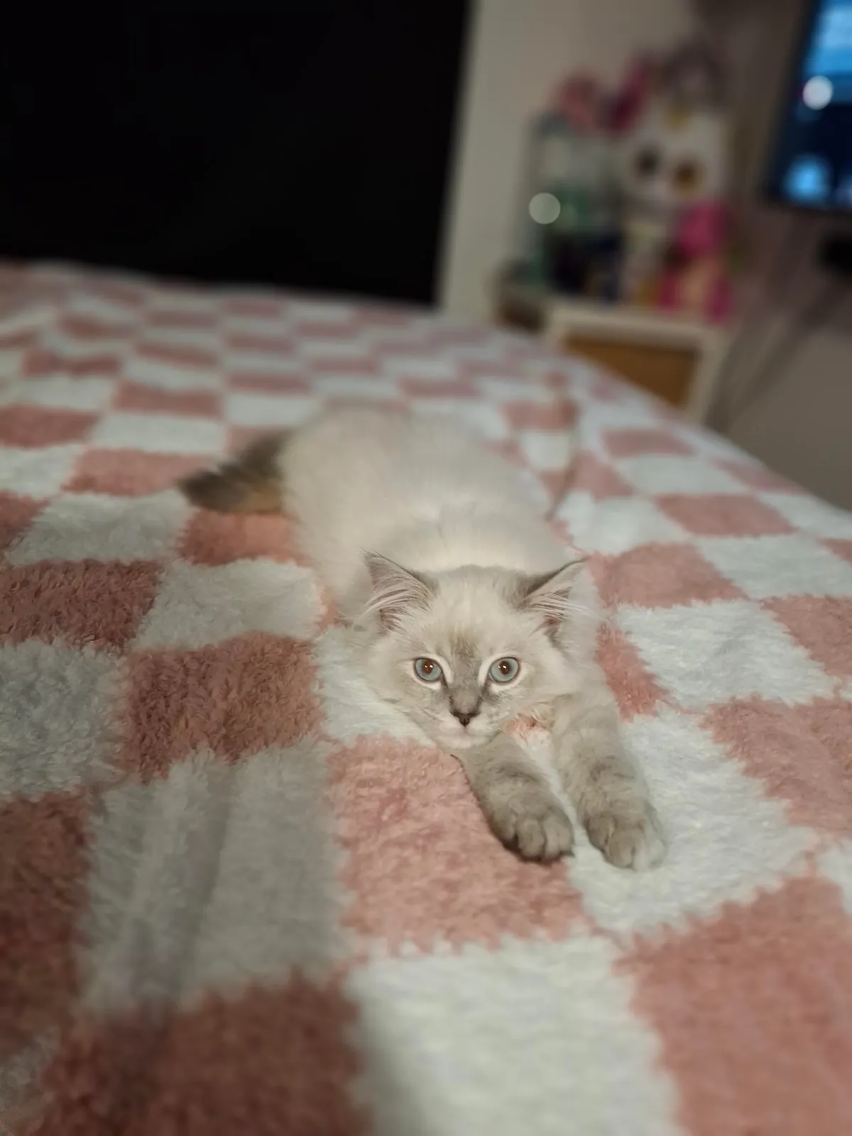 What color is diamond ?