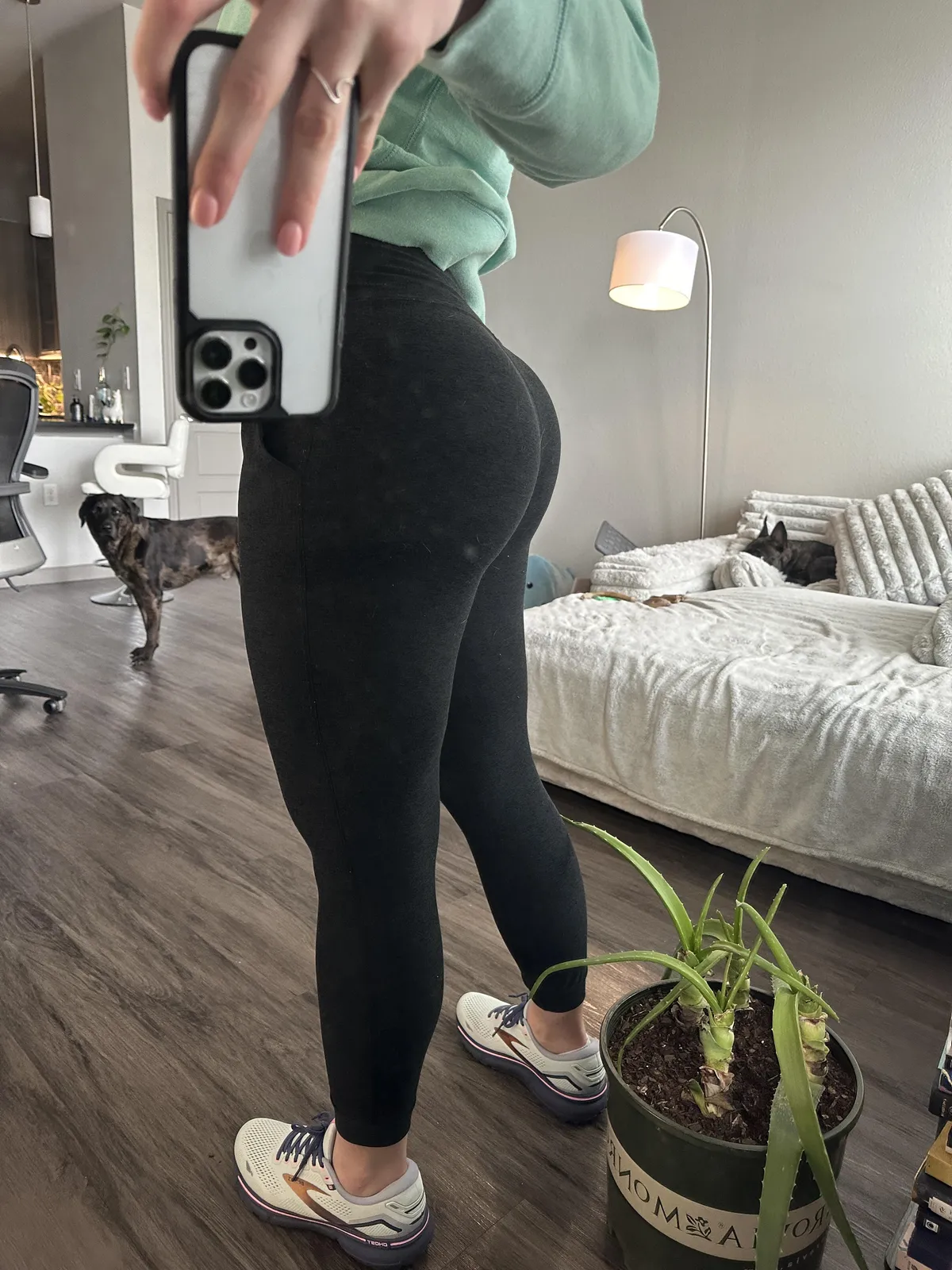 don't let my aloe plant distract you, my ass needs all of your attention