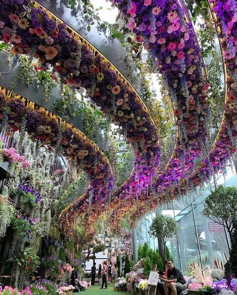 This gorgeous hanging garden