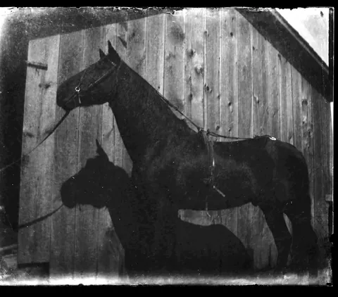 back with another installment of scans!