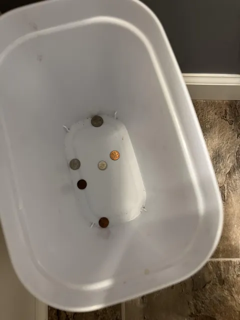 My son throws away coins 