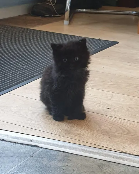 This little boy is about to join our family. Name ideas??