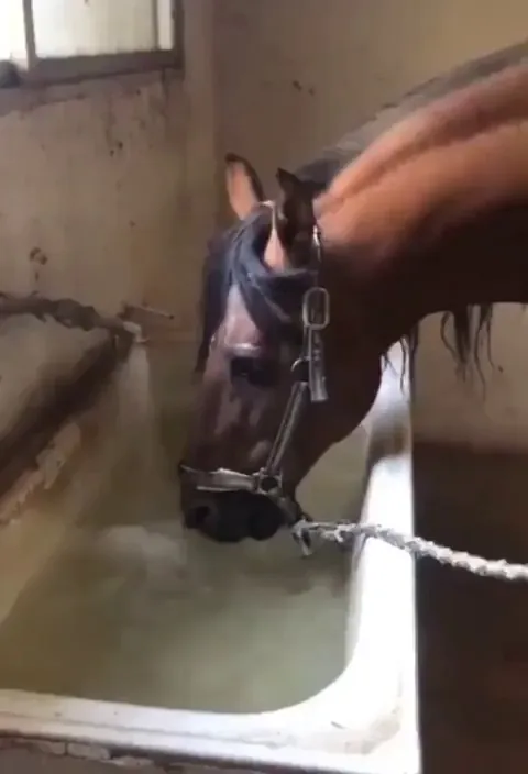 Ma'am, I am still drinking.