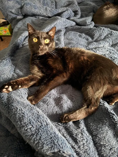 It Feels Like You Blink—Then Suddenly They’re Full-Sized!