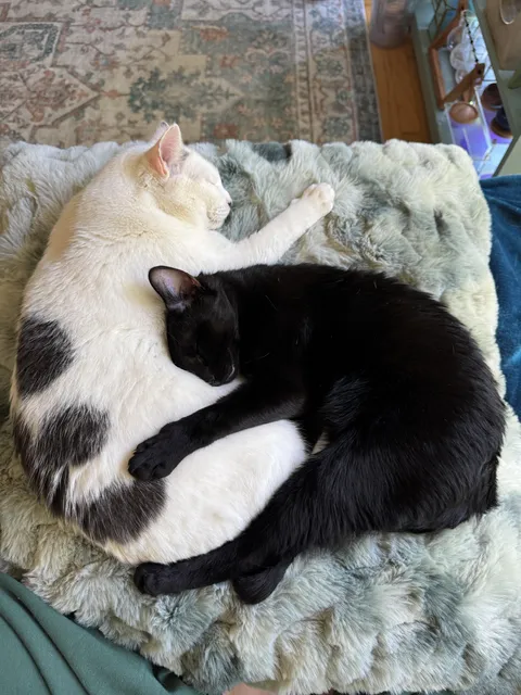 Bonnie gives good hugs