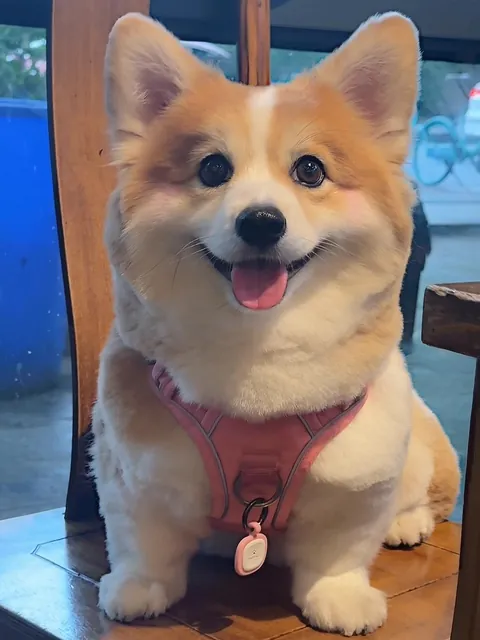 Today is my baby's birthday