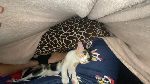 She saved me from committing suicide and gave me a reason to live.