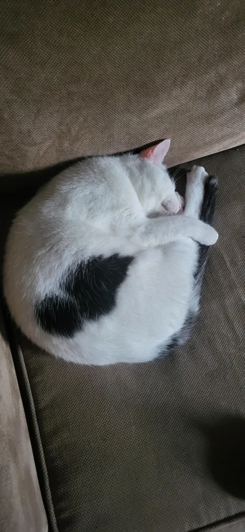 What do we call this position?