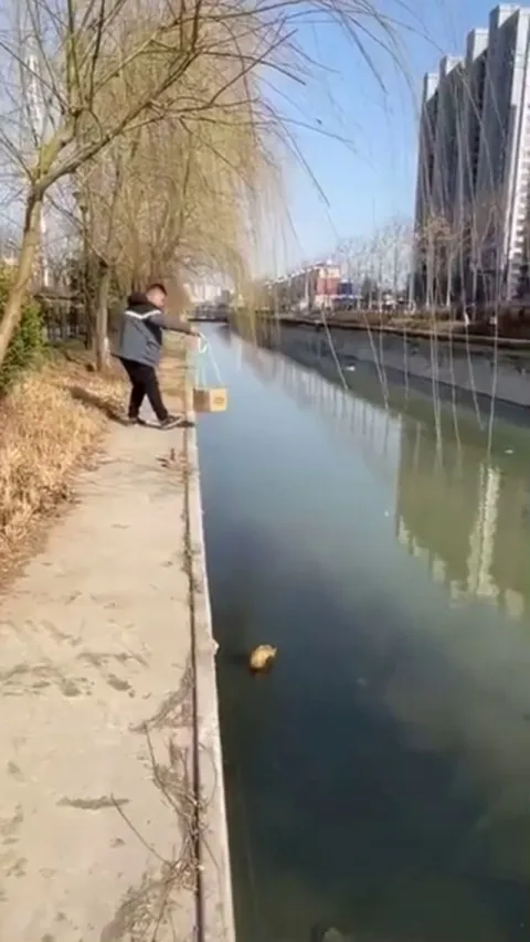 A man saves a cat that’s accidentally ended up in the water
