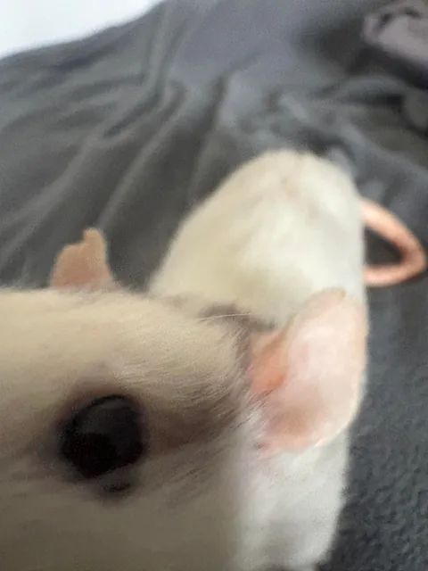 Can you believe this little dude is 3.5???