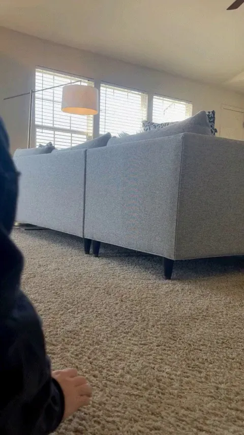 POV: your roommate prefers crawling ;)