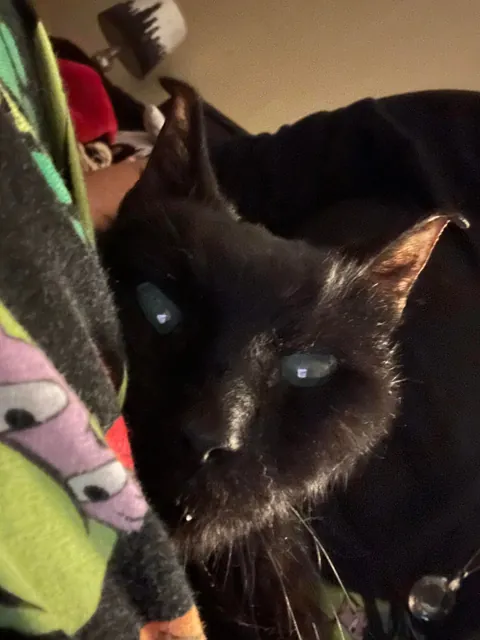 Heaven just got a little more BADASS!!