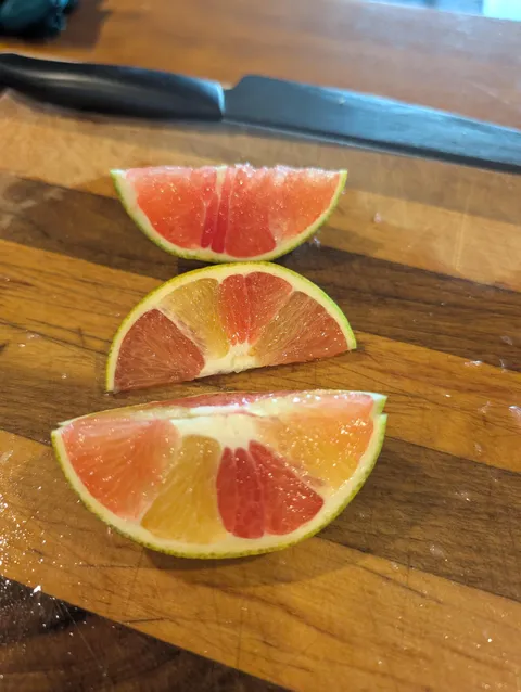 This orange I just picked